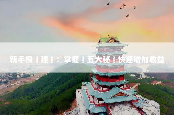 新手投資建議：掌握這五大秘訣快速增加收益